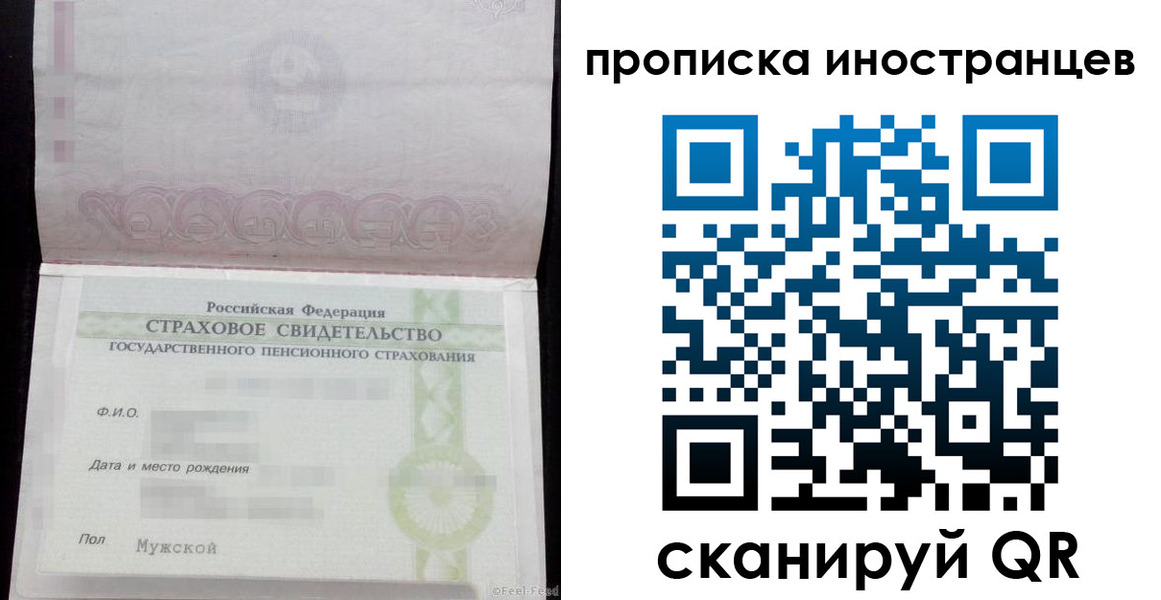 прописка гарантия в Кандалакше